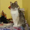 Отзыв от Эмилия Сазонова